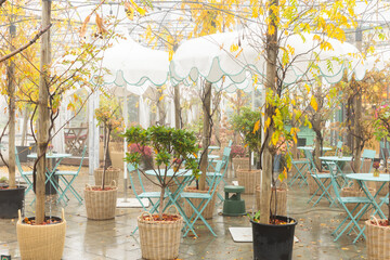 Obraz premium Storytelling image of Chisinau city in the Republic of Moldova on a calm autumn morning, wrapped in fog and warm sunrise light highlighting the charm of the capital.