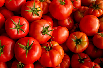 Organic red tomatoes for sale at farmers market. Fresh tomatoes displayed at local market stall. Heap of fresh tomatoes at outdoor vegetable market.