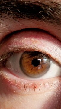 close examination of male iris textures, detailed inspection revealing male eye structure intricacies, thorough inspection showcasing detailed patterns and textures of caucasian male eye
