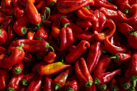 Fresh red capia peppers displayed at market stall. Heap of fresh capia peppers at vegetable stall. Organic capia peppers for sale at local bazaar.
