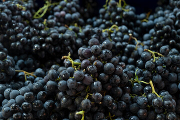 Assorted grape varieties displayed at market stall. Bunches of red and green grapes at produce stall. Organic mixed grapes on traditional market counter.