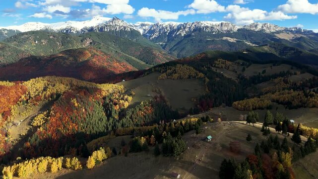 Autumn forest and snow-capped mountain peak in Moeciu de Sus Romania