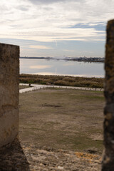 Aiguemortes et les salins