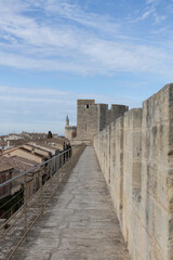 Aiguemortes et les salins