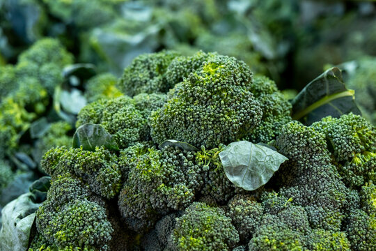 Fresh broccoli display at local market. Pile of fresh broccoli on market stand. Healthy green broccoli at vegetable market.