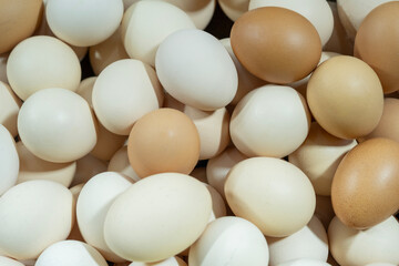 Brown and white eggs arranged on market counter. Local farm fresh eggs sold at outdoor market. Organic farm eggs for sale at farmers market.