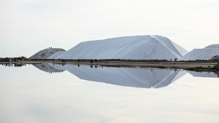 Aiguemortes et les salins