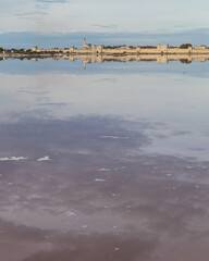Aiguemortes et les salins