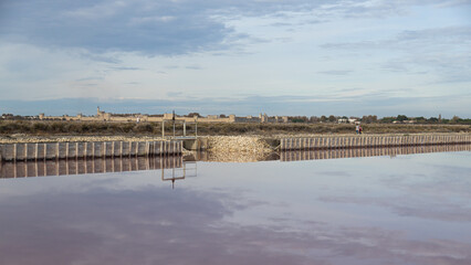 Aiguemortes et les salins