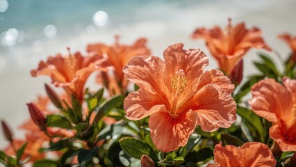 Bright orange hibiscus flowers with green leaves, close-up view. Tropical flowering plants. Garden and nature scenery. Blooming flowers in a lush garden.