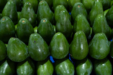 Fresh Avocados on Market Stall. Ripe Green Avocados for Sale at Vegetable Stand. Organic Avocados Displayed at Local Farmers Market.