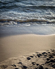 Aiguemortes et les salins