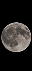 Fototapeta premium A detailed view of the full moon with craters and shadows against a black night sky background
