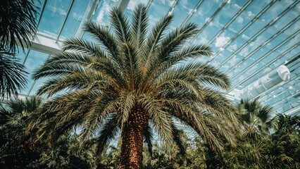A large palm tree inside a modern glass-domed structure with a futuristic architectural background.