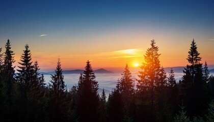 silhouette forest landscape at dawn