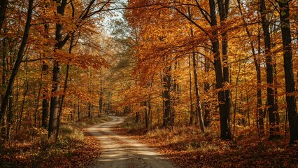 Naklejka premium Autumn forest scene with trees in fall colors and a winding dirt road. Nature and landscape, season change, outdoor scenery.