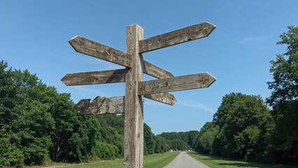 Wooden signpost with multiple directional arrows on a rural road, surrounded by trees under a clear sky.