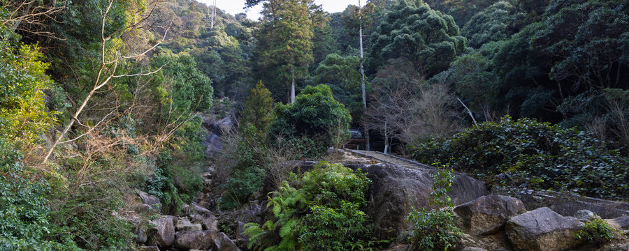 Panoramic view Heavy walking trail with a lot of stairs to Mount Misen at island Miyajima Hatsukaichi, Japan
