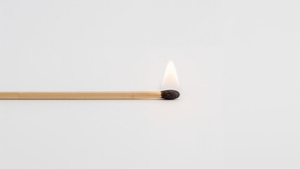 An image of a matchstick with a burning head on a plain white background.