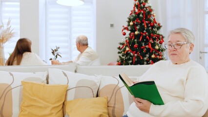 A cozy family scene features a gray-haired grandmother reading on the couch while her husband and granddaughter get ready for a joyful New Year by the decorated tree.