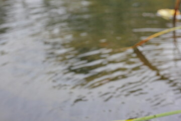 A dreamy blurry view of rain on the river