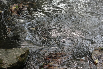 Water currents flowing in the river.