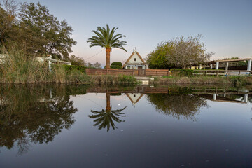 Albufera lake water reflecting tranquil nature landscape
