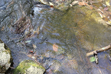 Water on stone