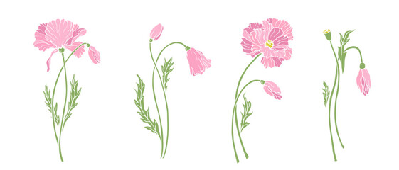 A collection of wildflowers and poppy buds. Colorful botanical elements. Vector graphics.