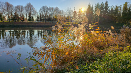 Polish golden autumn by the pond