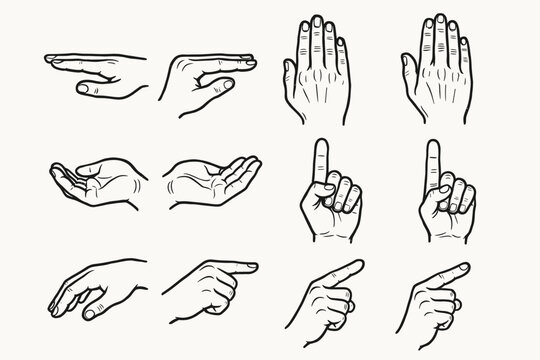 Icons icon vector illustration hand palm index back side views focus curved