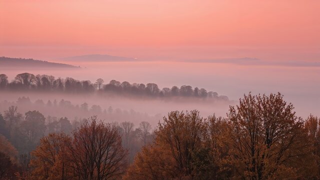 Autumn landscape with colorful trees and misty hills during sunrise or sunset. Nature scene with vibrant foliage and atmospheric mood.