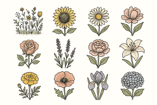 Vector icons peony icon tulip poppy marigold lily daisy garden flower hydrangea