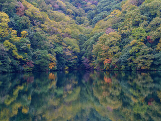 神戸の布引貯水池の紅葉