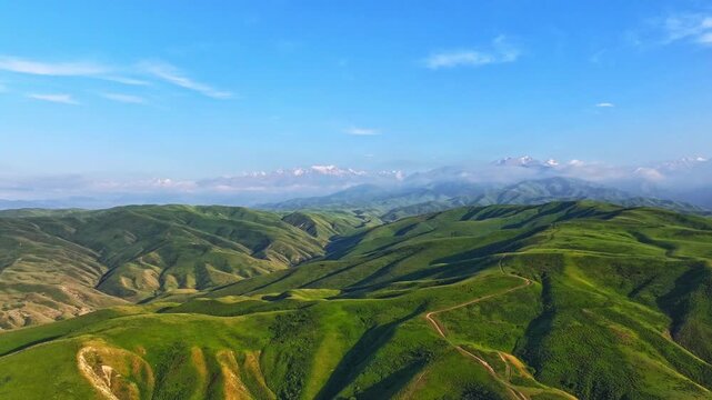 aerial hyper lapse of Kyrgyzstan green foothills with snowcapped mountains on the horizon at sunny summer day