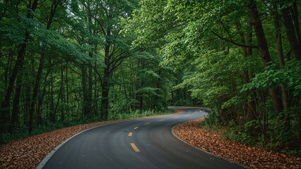 Fototapeta premium Winding road through a dense green forest with trees and fallen leaves.