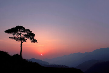 Fototapeta premium breathtaking sunset in mountains featuring lone tree silhouetted against horizon