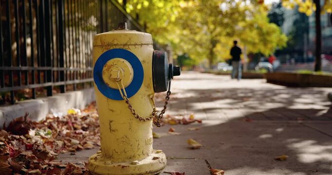 Yellow fire hydrant on a city sidewalk in Toronto during autumn, with fallen leaves and a pedestrian walking in soft background blur