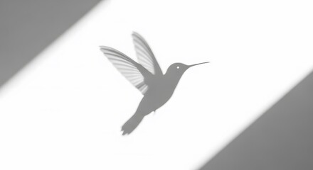 Hummingbird silhouette flying against light background  