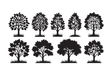Fototapeta premium Collection of silhouetted trees in various shapes and sizes