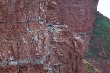 helgoland