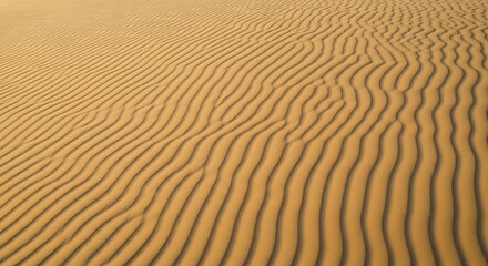 Obraz premium Golden desert sand ripples forming intricate wavy patterns, a natural textured background