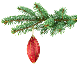 An isolated red glitter christmas pear-shaped ornament hanging on a spruce branch. Versatile design element for holiday marketing and greeting cards.