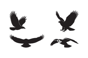 Silhouettes of birds of prey in flight