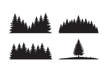 Obraz premium Silhouette forest scenes with evergreen trees and pine trees