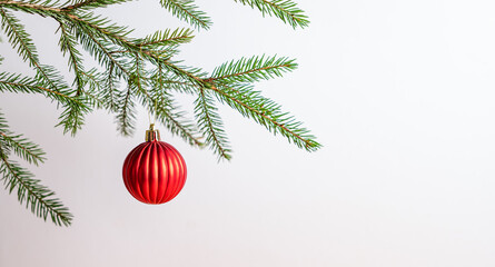 Fir branches with a ball-shaped Christmas tree ornament on a light background.
