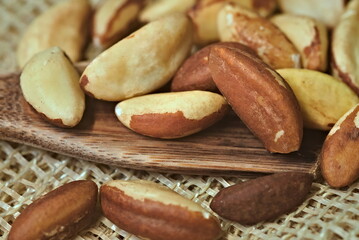 Brazil nut, a typical food of the Pará region of Brazil. A highly prized food by indigenous and riverside communities.