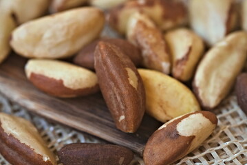 Brazil nut, a typical food of the Pará region of Brazil. A highly prized food by indigenous and riverside communities.
