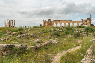 Ruins at the archaeological site of Volubilis, an antique Roman city and UNESCO World Heritage Site, Morocco