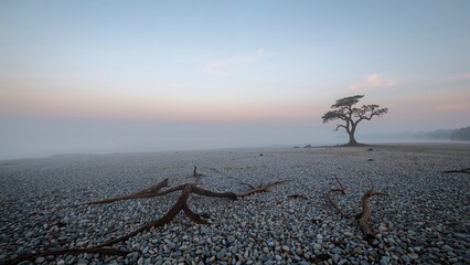 A solitary tree on a rocky beach during dawn or dusk with driftwood in the foreground and a calm sky.